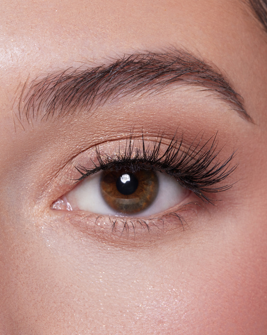 The Cat Eye Maven Lash Extensions Strip